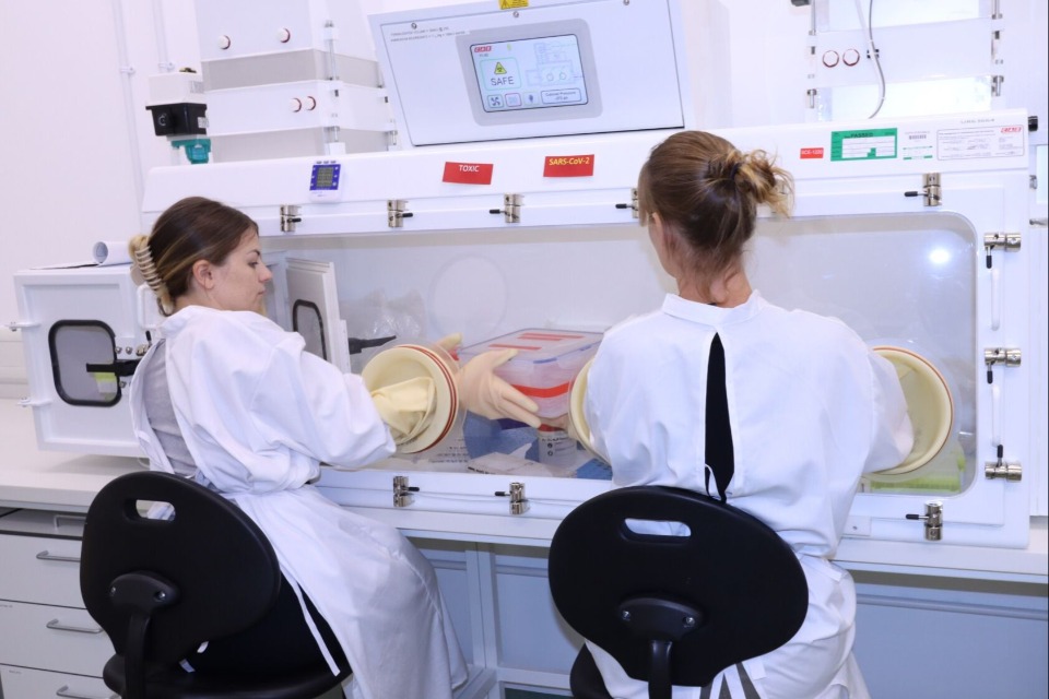 Equipe de cientistas do UKHSA em laboratório